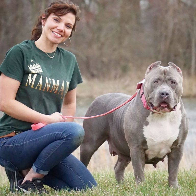 Home - XL Pitbull Puppies