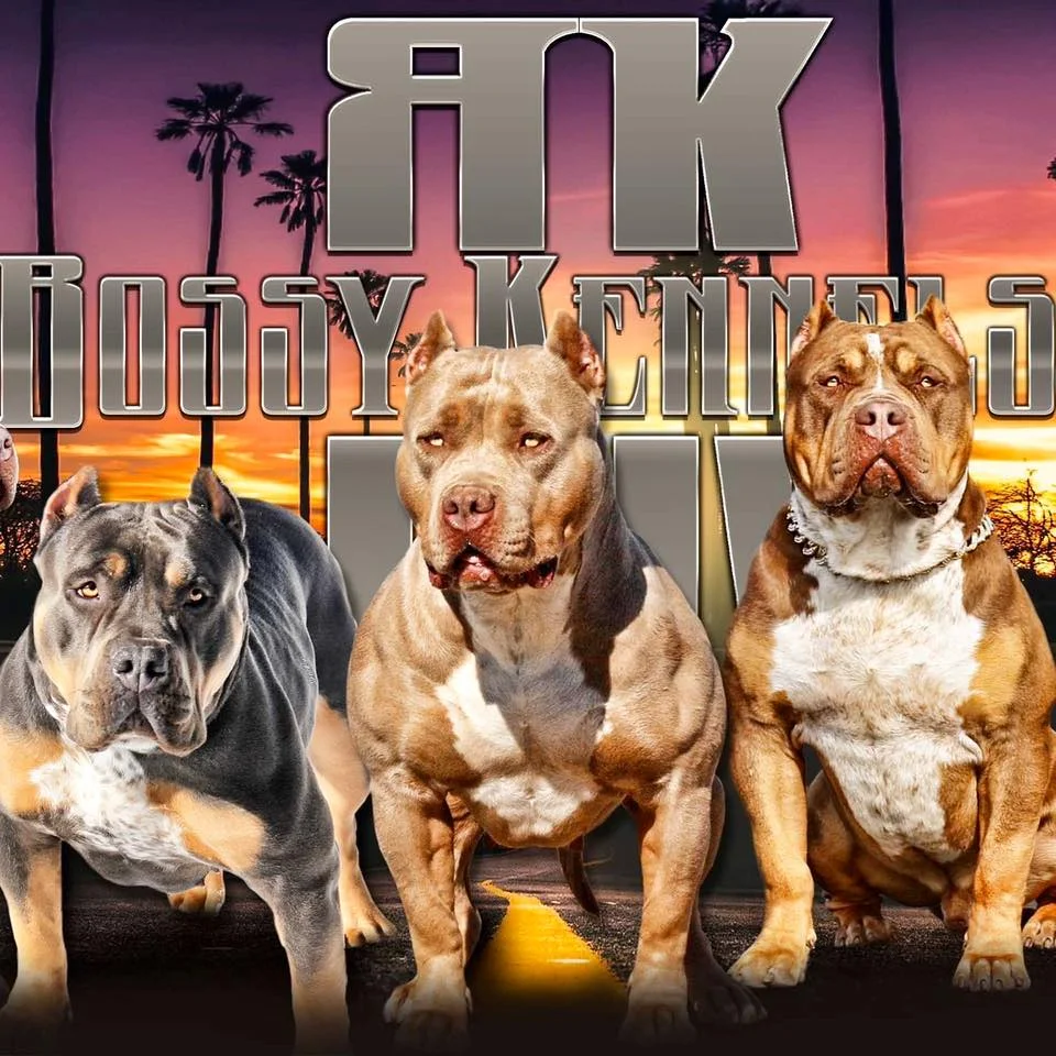 Bossy kennels