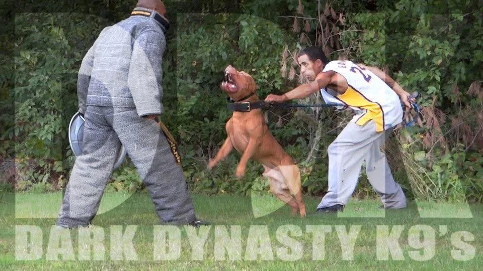 Dark Dynasty K9 kennels