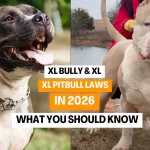 XL Bully & XL Pitbull Laws in 2026